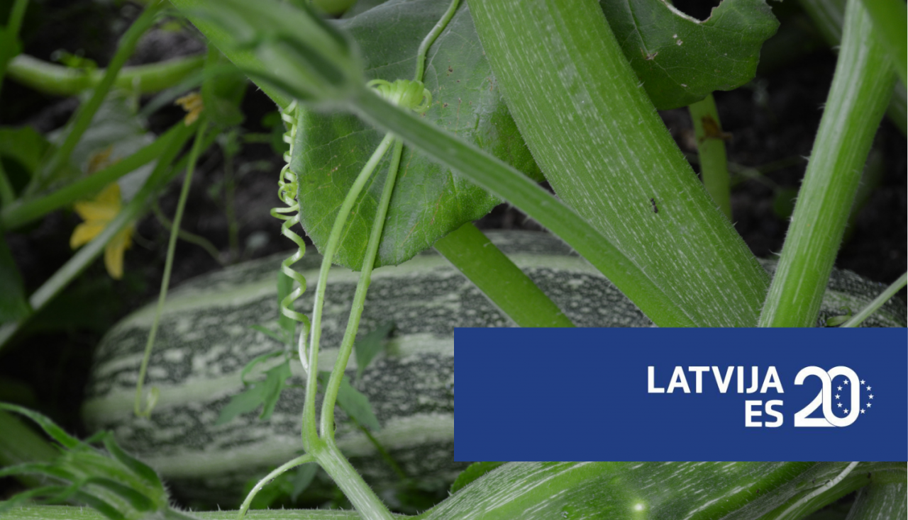 Latvija ES 20: Zaļā saimniekošana un bioloģiskā lauksaimniecība
