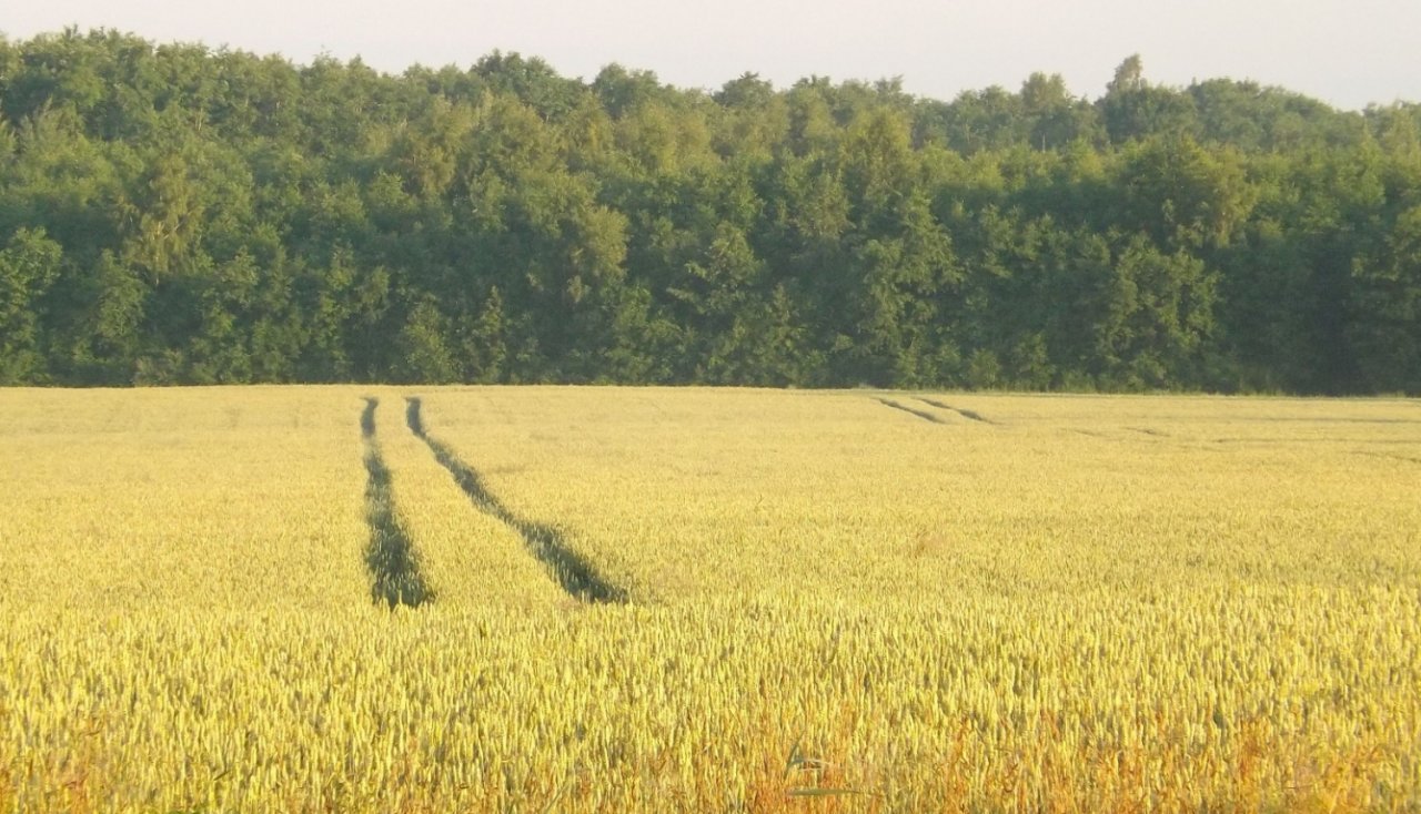 Minister of Agriculture Armands Krauze: Comprehensive solutions are needed to attract people to rural life and develop the rural areas