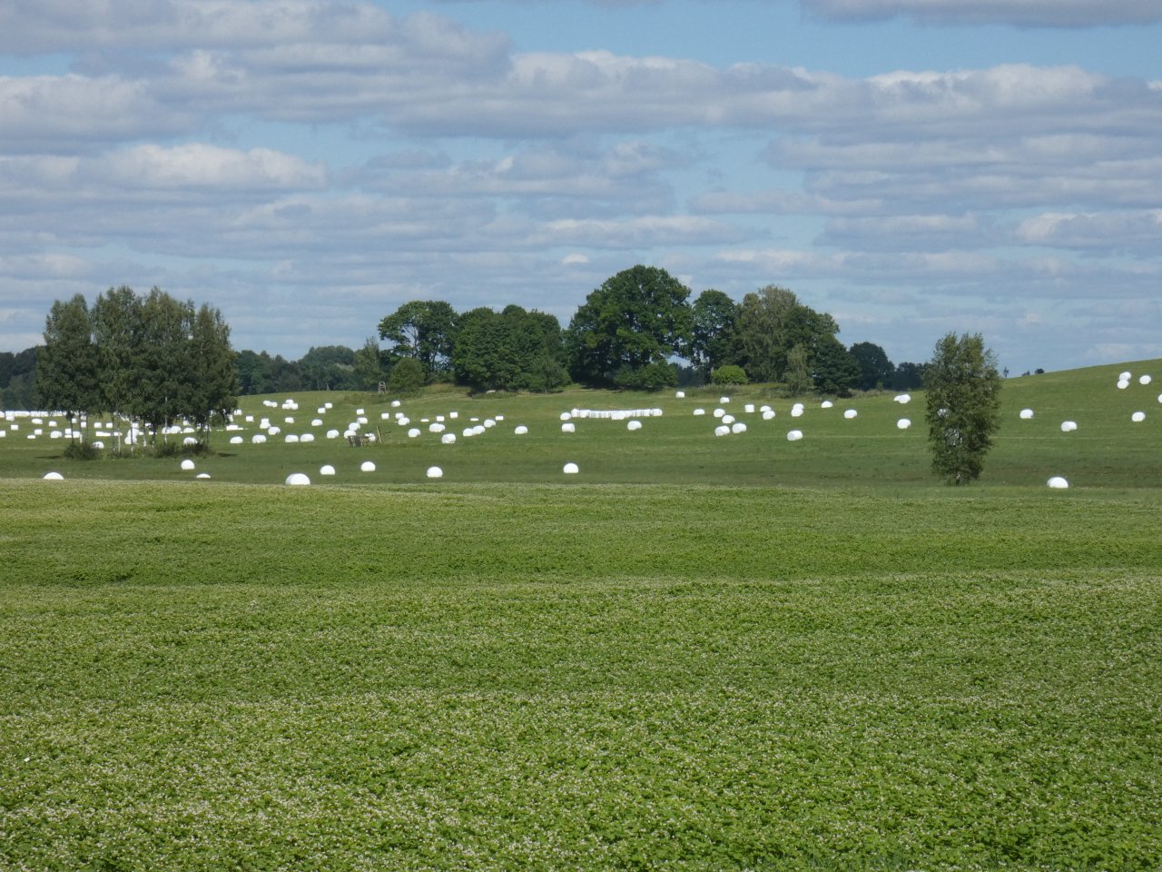 Latvia will call on the EU Council of Ministers for Agriculture to reduce administrative burden on farmers