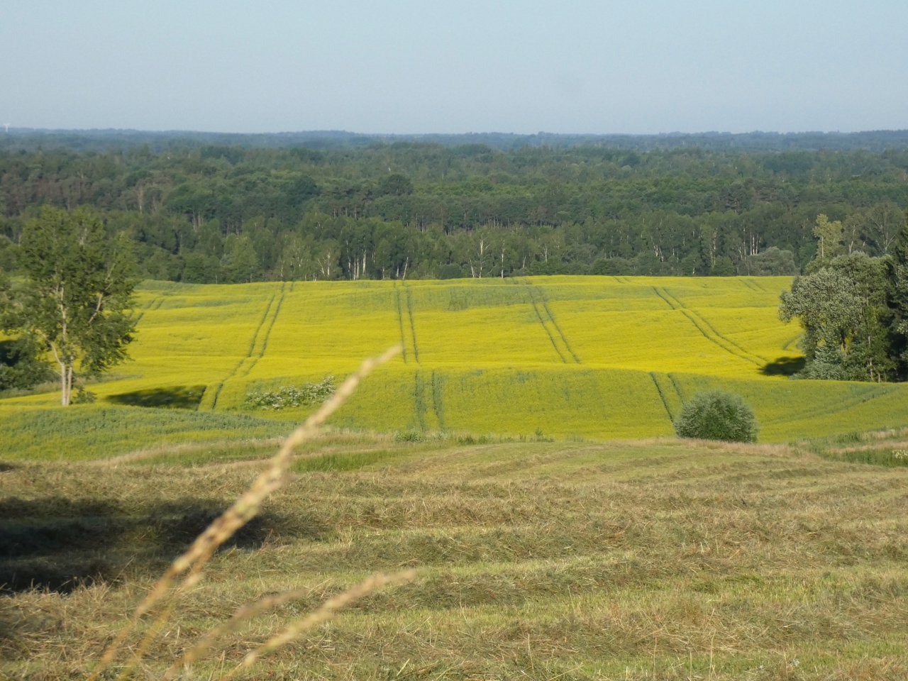 Latvia insists on sufficient CAP funding and equalizing of direct payments at the EU Council of Ministers for Agriculture and Fisheries