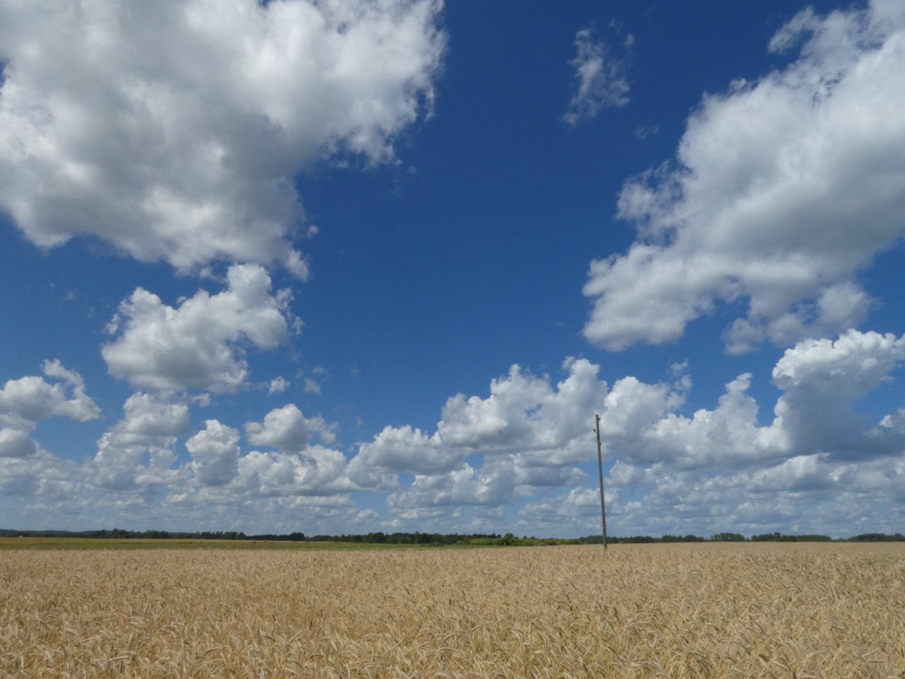 EU agricultural policy makers will discuss necessary improvements to CAP conditionality